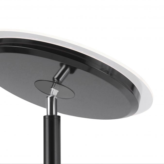 Paul Neuhaus LED-Deckenfluter, schwarz, verstellbaren Fluterkopf, Stehlampe Nur noch ein Tag übrig