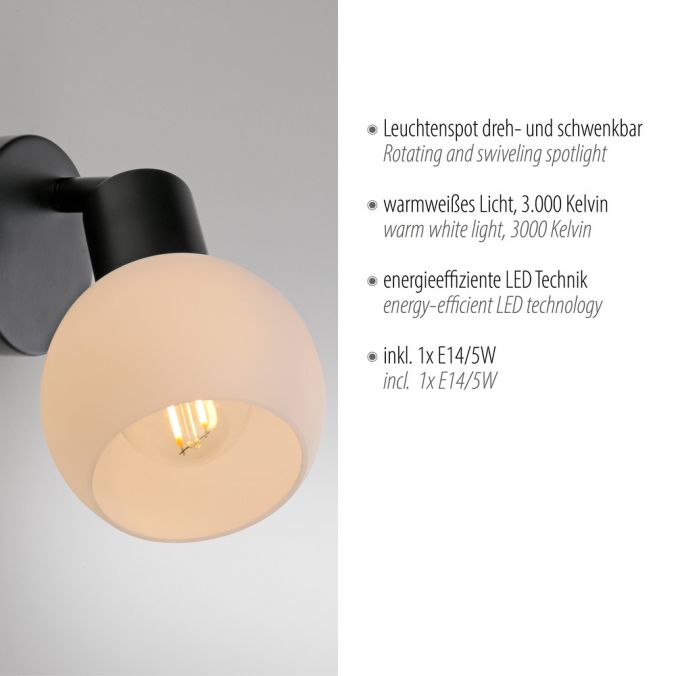 Paul Neuhaus LED Wandleuchte und Deckenleuchte 1 flammig schwarz Spot drehbar Angebote