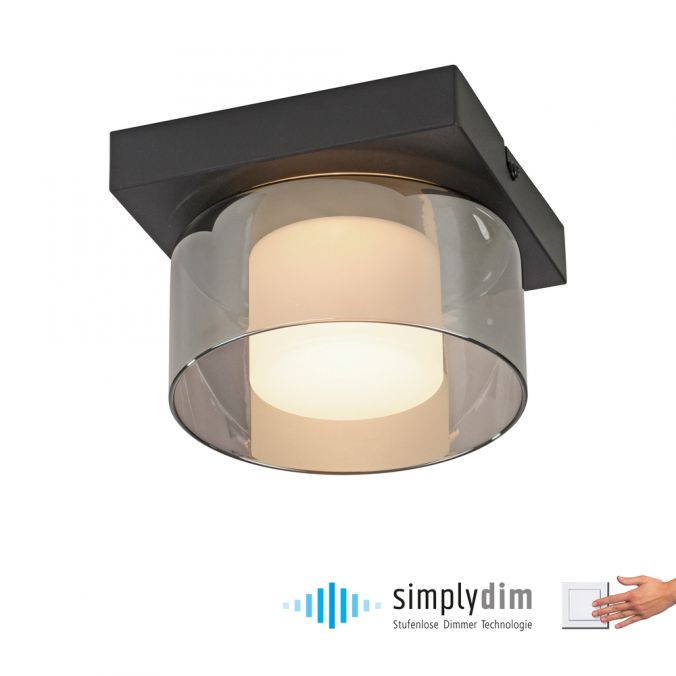 Paul Neuhaus Paul Neuhaus LED Deckenleuchte 1 flammig dimmbar per Switchmo