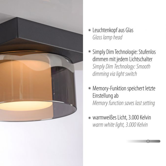 Paul Neuhaus Paul Neuhaus LED Deckenleuchte 1 flammig dimmbar per Switchmo Großer Ausverkauf