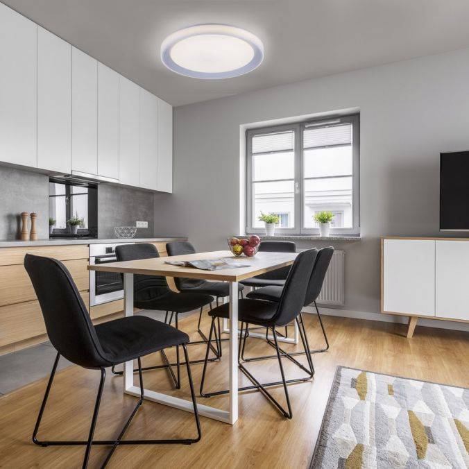 Paul Neuhaus LED Deckenleuchte, silber, Ø 51cm, RGB, CCT, Memory-Funktion Clearance-Verkauf
