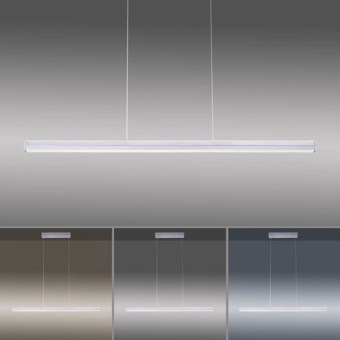 Paul Neuhaus LED-Pendelleuchte, stahlfarben, Tastdimmer, lineares Design, CCT, höhenverstellbar Fabrikladen