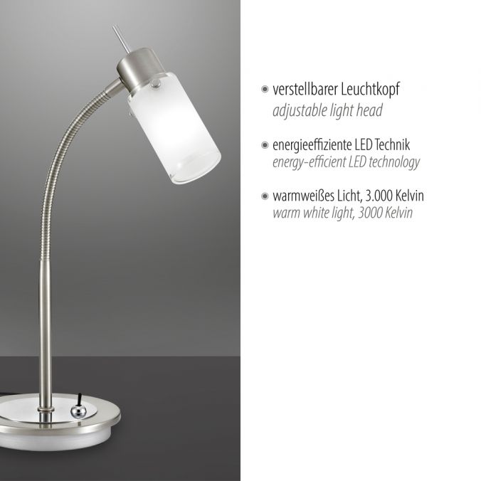 Paul Neuhaus LED-Tischleuchte, stahl, inkl. Kippschalter, modern, inkl. Glasschirm 2025