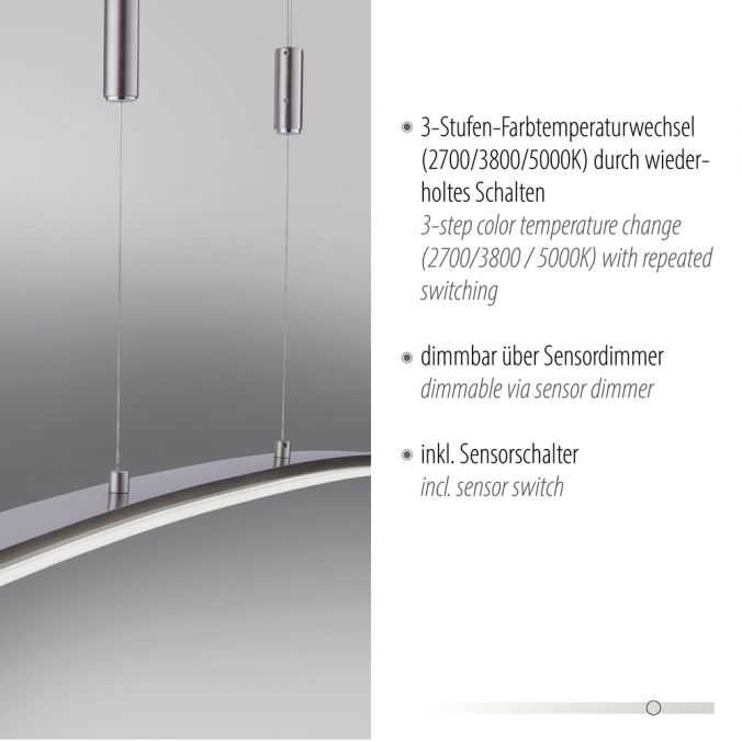 Paul Neuhaus LED Pendelleuchte, stahlfarben, CCT, 100cm lang, dimmbar Günstiger Verkauf